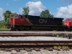 CN 2631